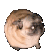 pugdance