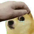 dogesoothe