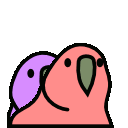 twinsparrots