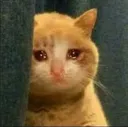 emoji_79