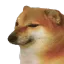 cheems