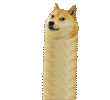 DogeWorm Discord Emoji