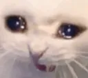 cry cry