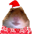 789594576049405983.png