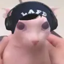 beaniegus