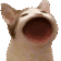 Popcat_Cassi Discord emoji