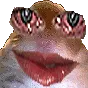 HamFraserAlert