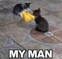 myman