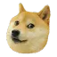 doggo