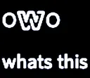 Owowhatsthis owowhatsthis Discord Emoji
