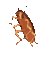 dancyroach