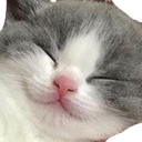 CatSleep_Dw Discord emoji