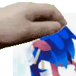 PetTral