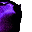 DarkMatterVibeCat