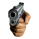 Gun
