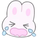 bunnycry bunnycry