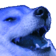 dogevillaugh Discord emoji