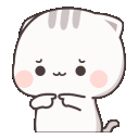 shycat Discord emoji