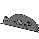 CrowBongo