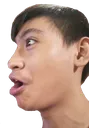 POG Discord Emoji