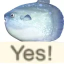 yes
