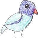 C_Dove