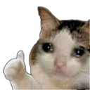 sadcatyes Discord emoji
