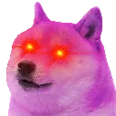 DogeOnCrack