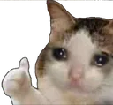 sadThumbs