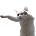 longcat1