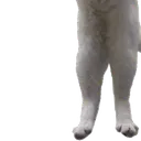 longcat3