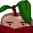 kiwishock