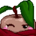 kiwiwink