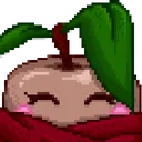 kiwihappy
