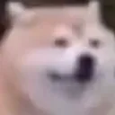 mmmwhat mmmwhat
