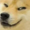 M16_apexm_dogesmirk