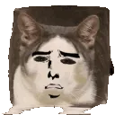 despair