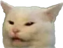 smudge_cat