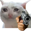 sadcatgun
