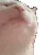 catjam