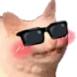 catblushyblushy Discord Emoji