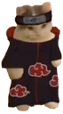 akatsuki_cat Discord Emoji