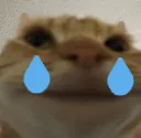 SadCat