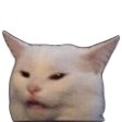 confusedCat Discord emoji