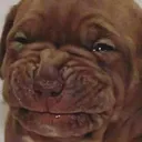 MeCwy