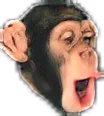 pogchimp
