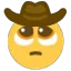 sadCowboy sadCowboy