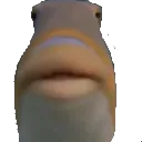 Stare Stare