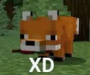 XD_fn