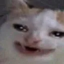 smilecat
